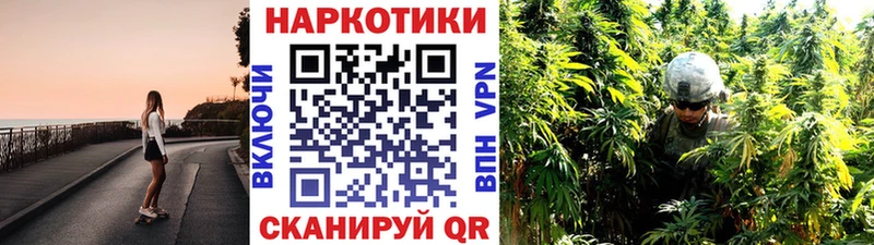 Как найти наркотики Волосово Канабис  Меф мяу мяу  Alpha PVP  ГАШ 