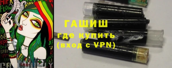 дмт Бородино