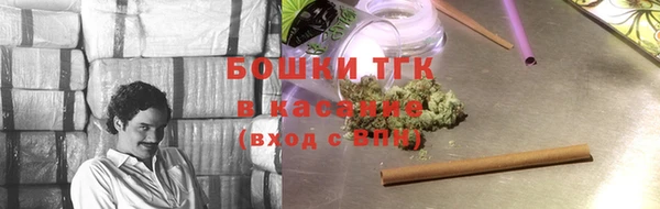 индика Бронницы