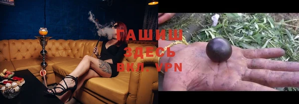 индика Бронницы