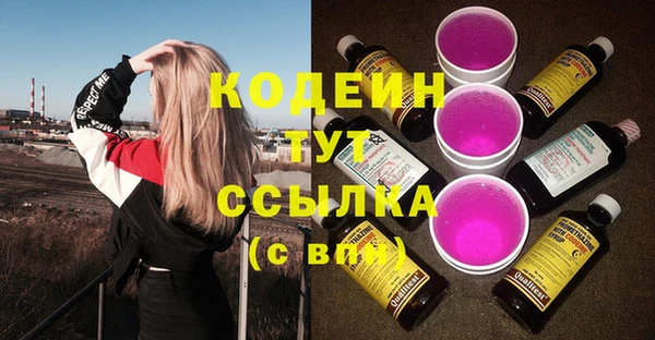 дмт Бородино