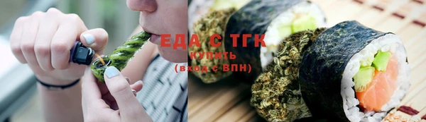 индика Бронницы