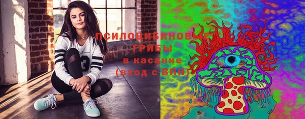 Альфа ПВП Бугульма