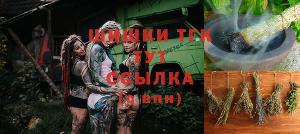дмт Бородино