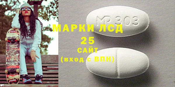 индика Бронницы