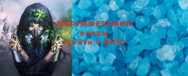 индика Бронницы