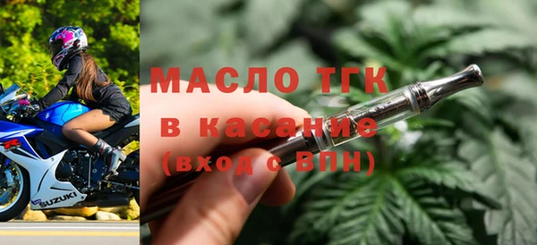 дмт Бородино