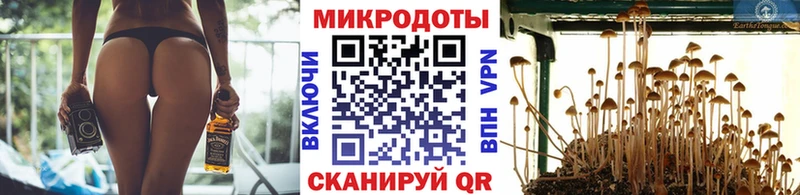купить закладку Волосово Галлюциногенные грибы Psilocybine cubensis