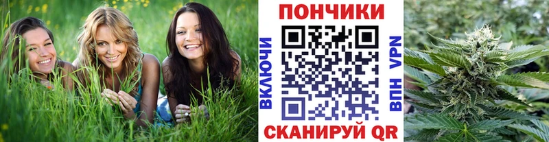 Шишки марихуана сатива  Волосово 